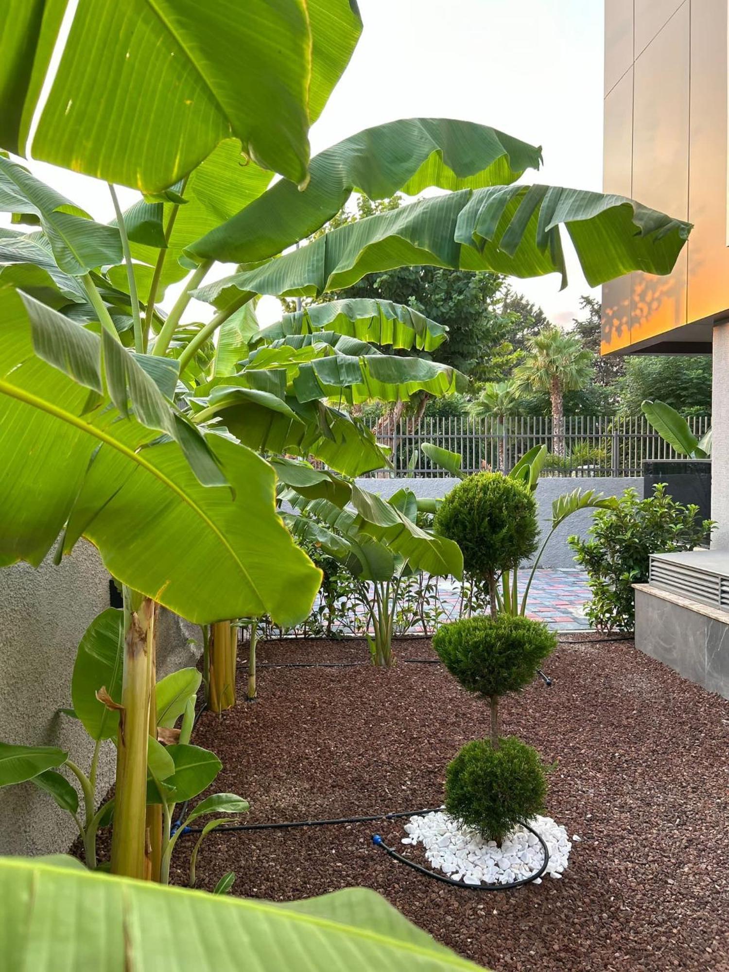 Grand Diker Port Appartement *